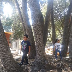 Meet your Posher, Roxana